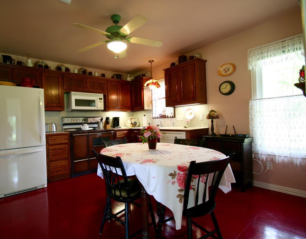 Onion Creek Cottage Остін Екстер'єр фото