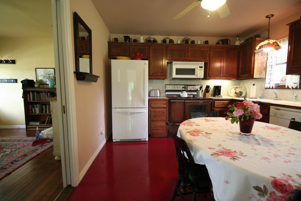 Onion Creek Cottage Остін Екстер'єр фото