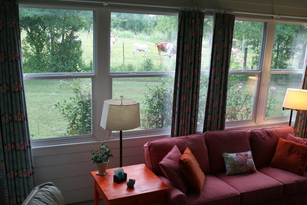 Onion Creek Cottage Остін Екстер'єр фото